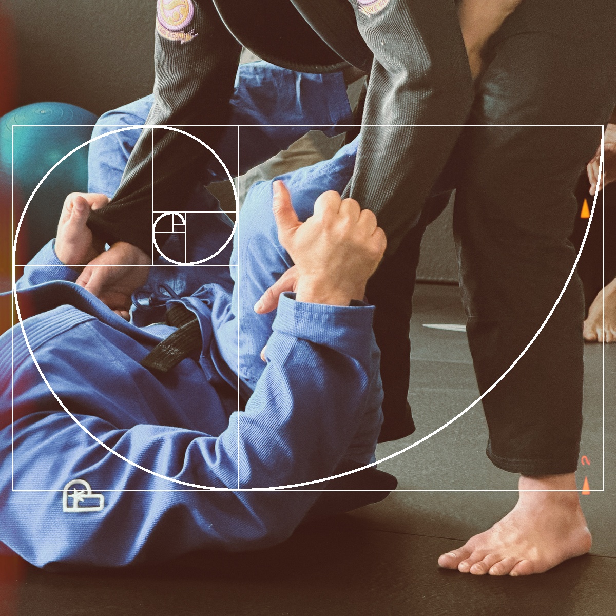 Fibonacci et Jiu-Jitsu : la géométrie du chaos et le nombre d'or sur le tatami