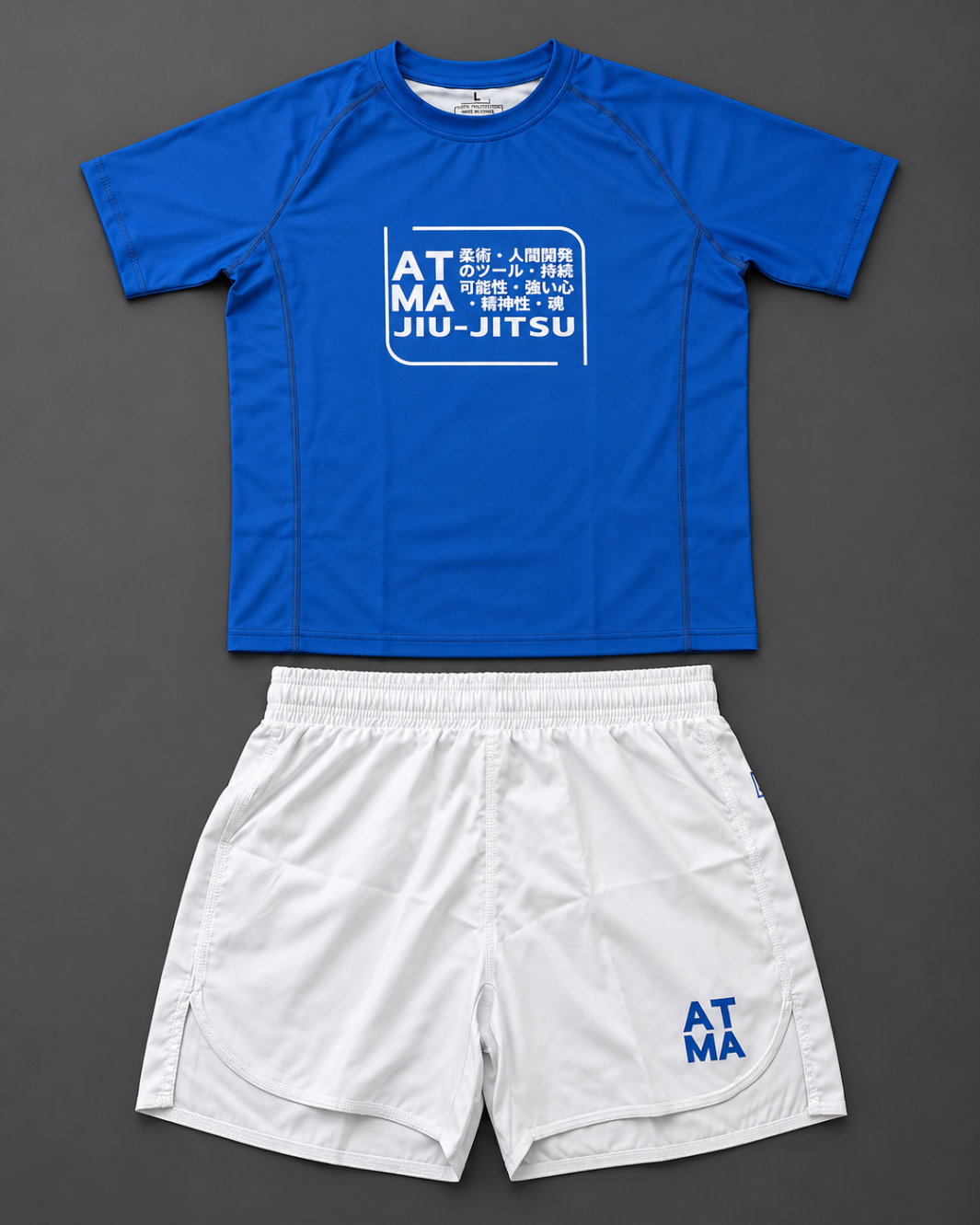 Ensemble No-Gi ATMA — Minimal Blue
